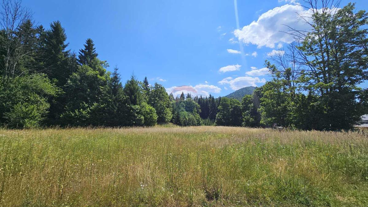 Terreno edificabile Lučice, Delnice, 2.436m2
