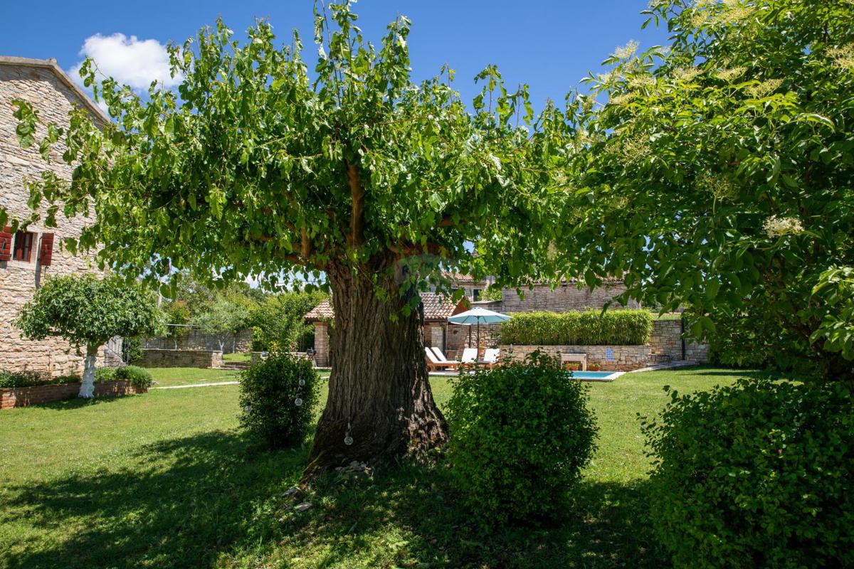ISTRA, KANFANAR - Bellissima Casa in Pietra Istriana Autentica