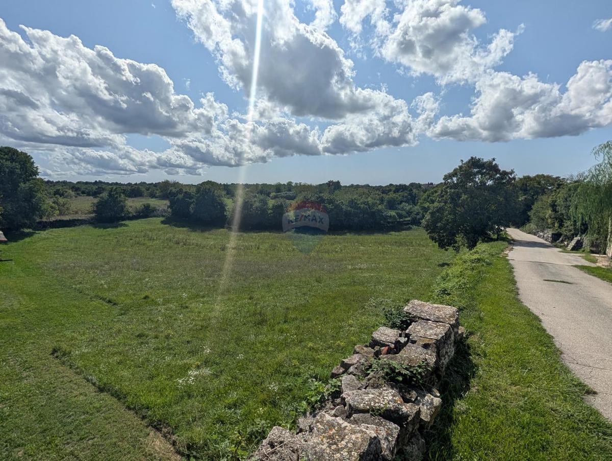 Terreno edificabile Žminj, 907m2