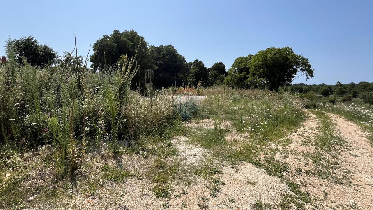 Terreno edificabile Vrsar, 517m2