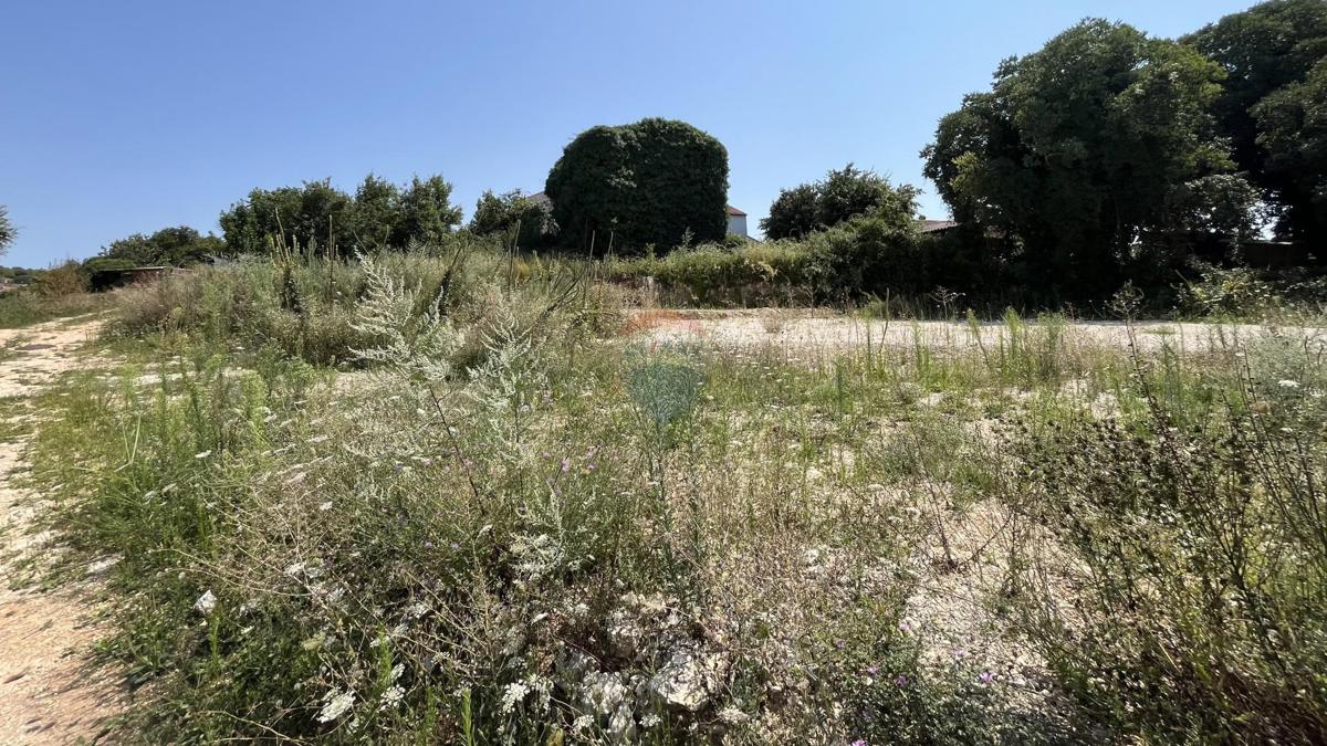 Terreno edificabile Vrsar, 517m2