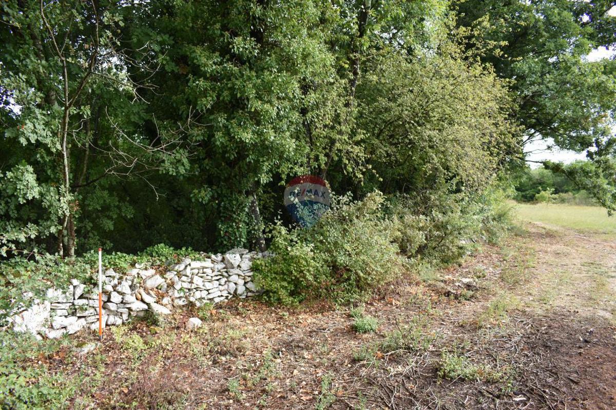 Terreno edificabile Boškari, Svetvinčenat, 774m2