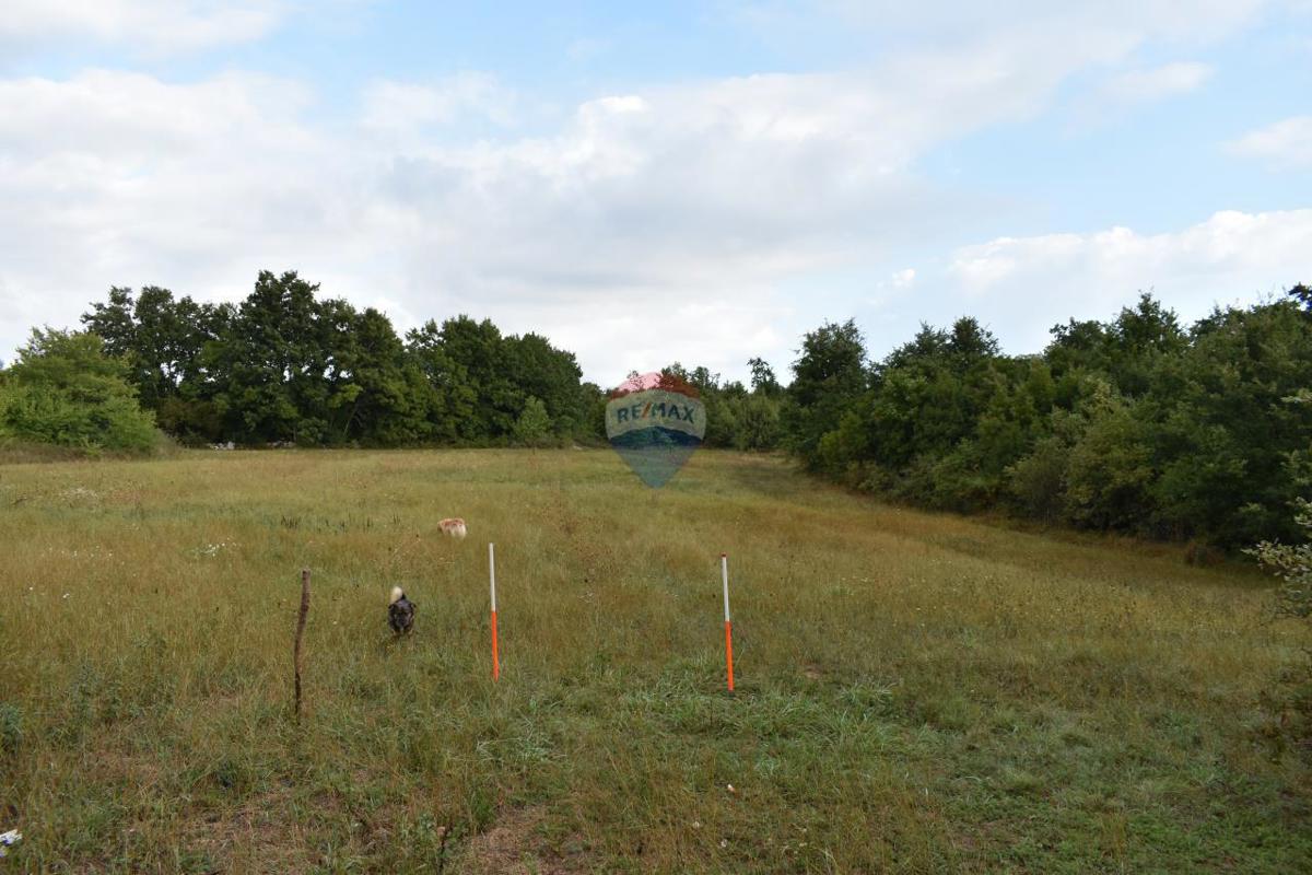 Terreno edificabile Boškari, Svetvinčenat, 774m2