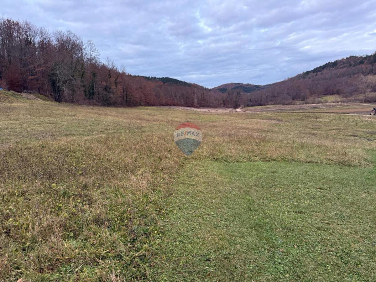 Terreno edificabile Centar, Pazin, 850m2