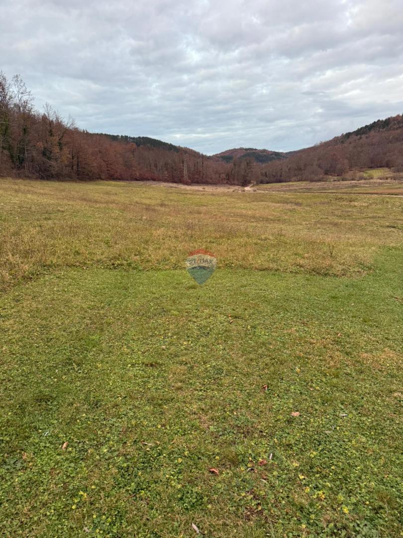 Terreno edificabile Centar, Pazin, 850m2