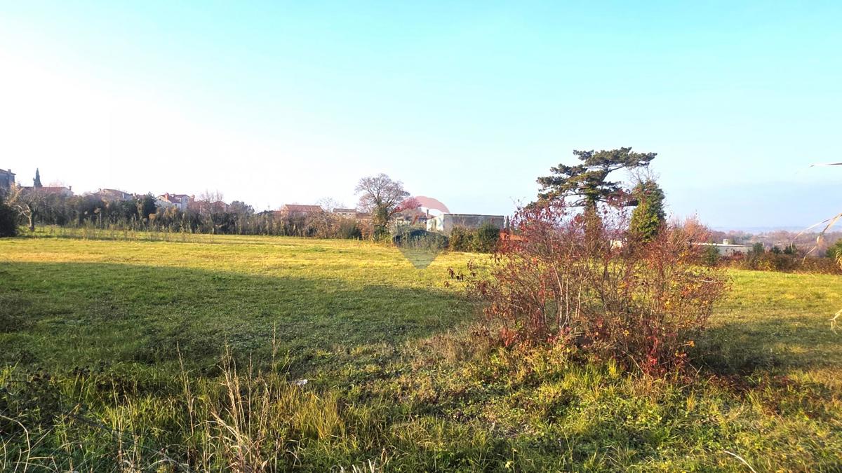 Terreno edificabile Brtonigla, 822m2