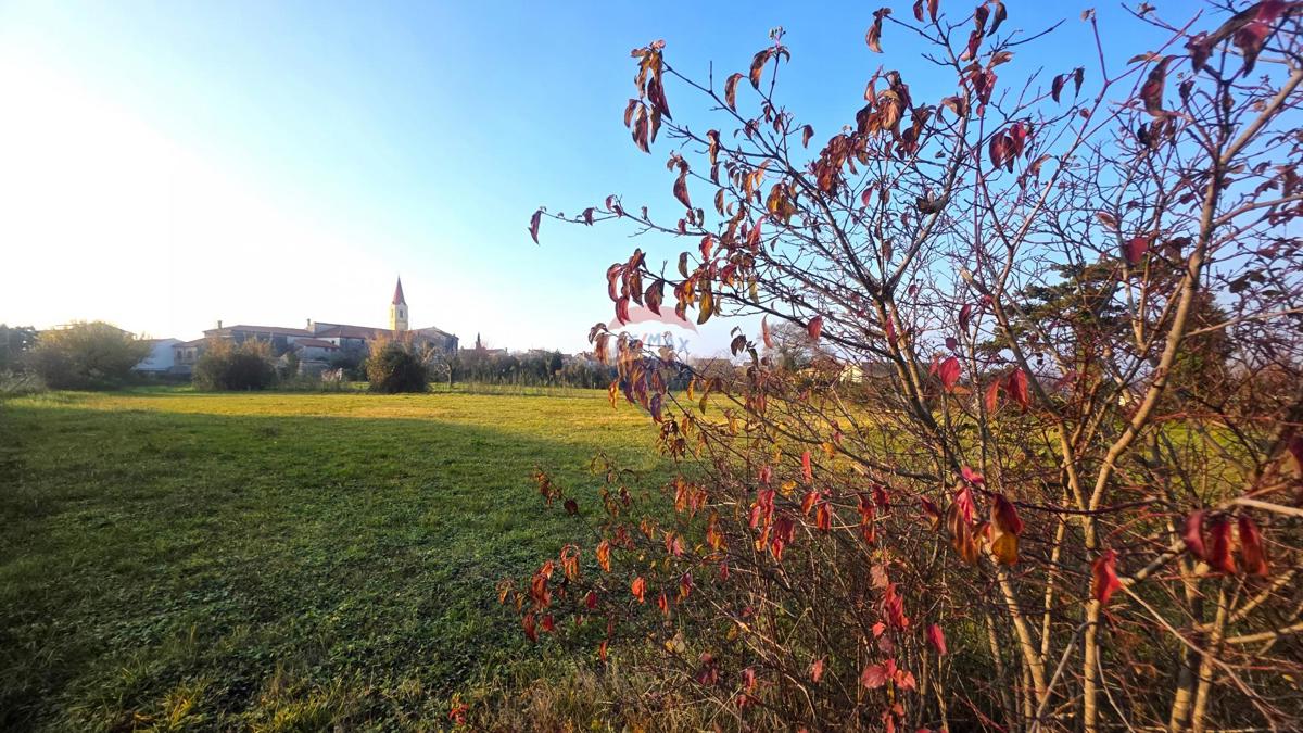 Terreno edificabile Brtonigla, 822m2