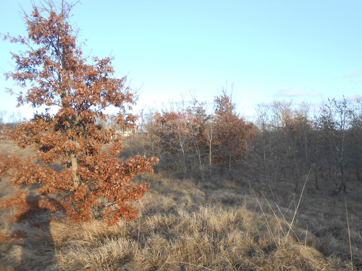 Terreno non edificabile Lindar, Pazin - Okolica, 34.477m2