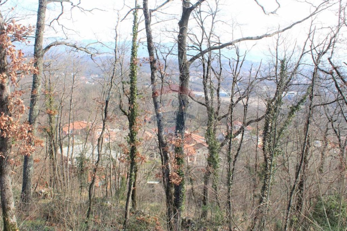 Terreno non edificabile Rukavac, Matulji, 2.349m2