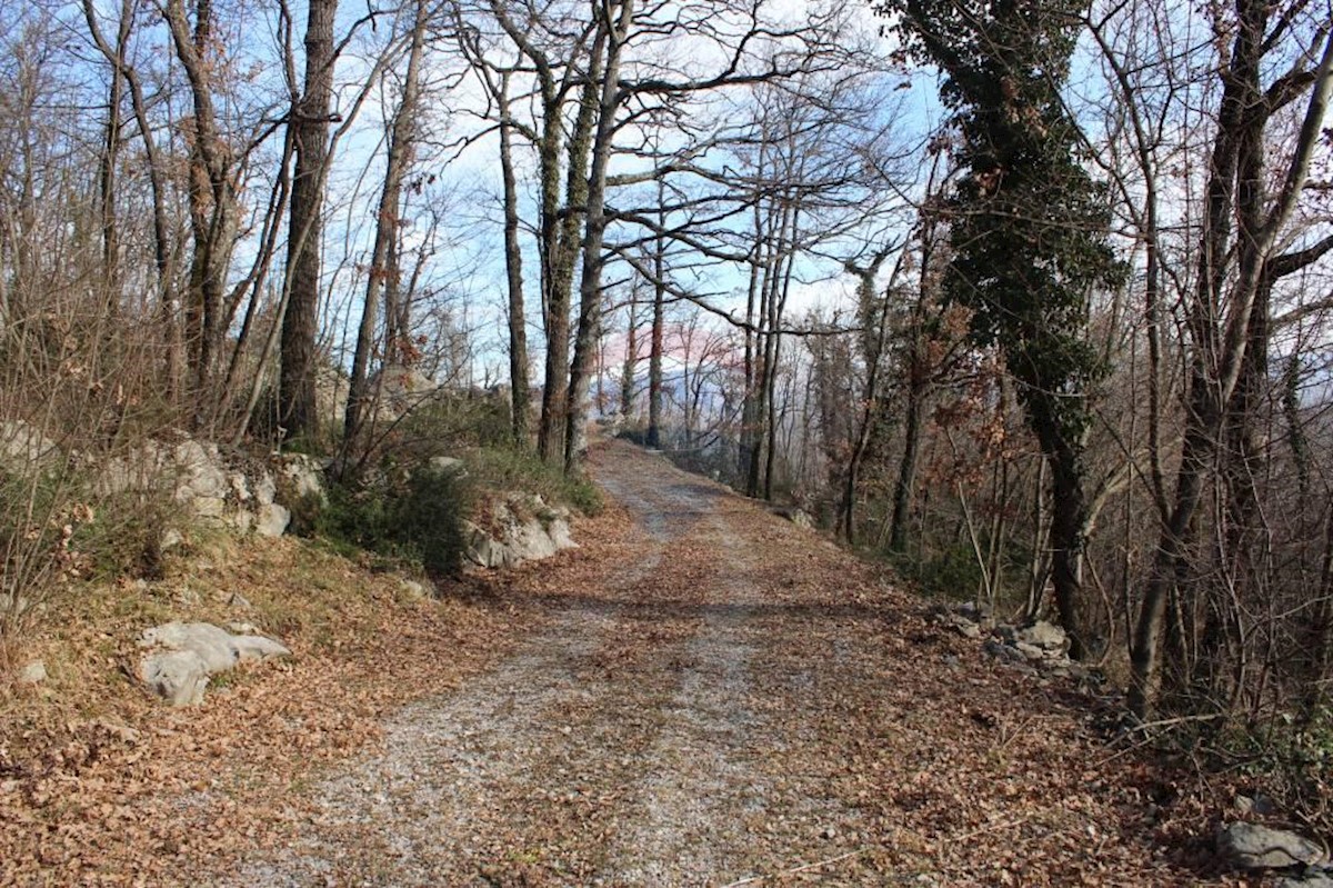 Terreno non edificabile Rukavac, Matulji, 2.349m2