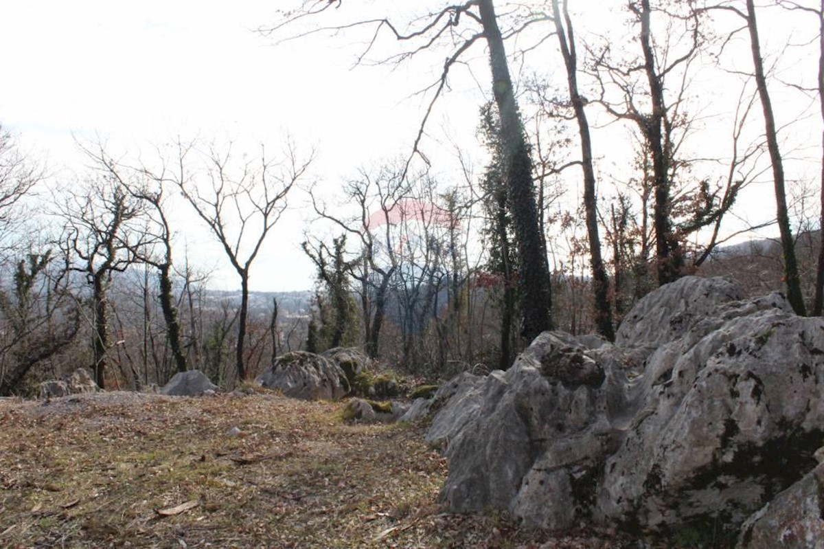 Terreno non edificabile Rukavac, Matulji, 2.349m2