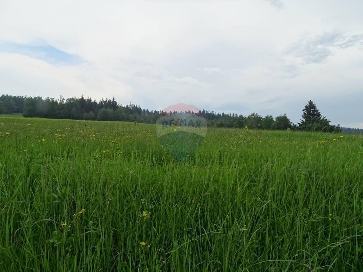 Terreno edificabile Kupjak, Ravna Gora, 14.540m2