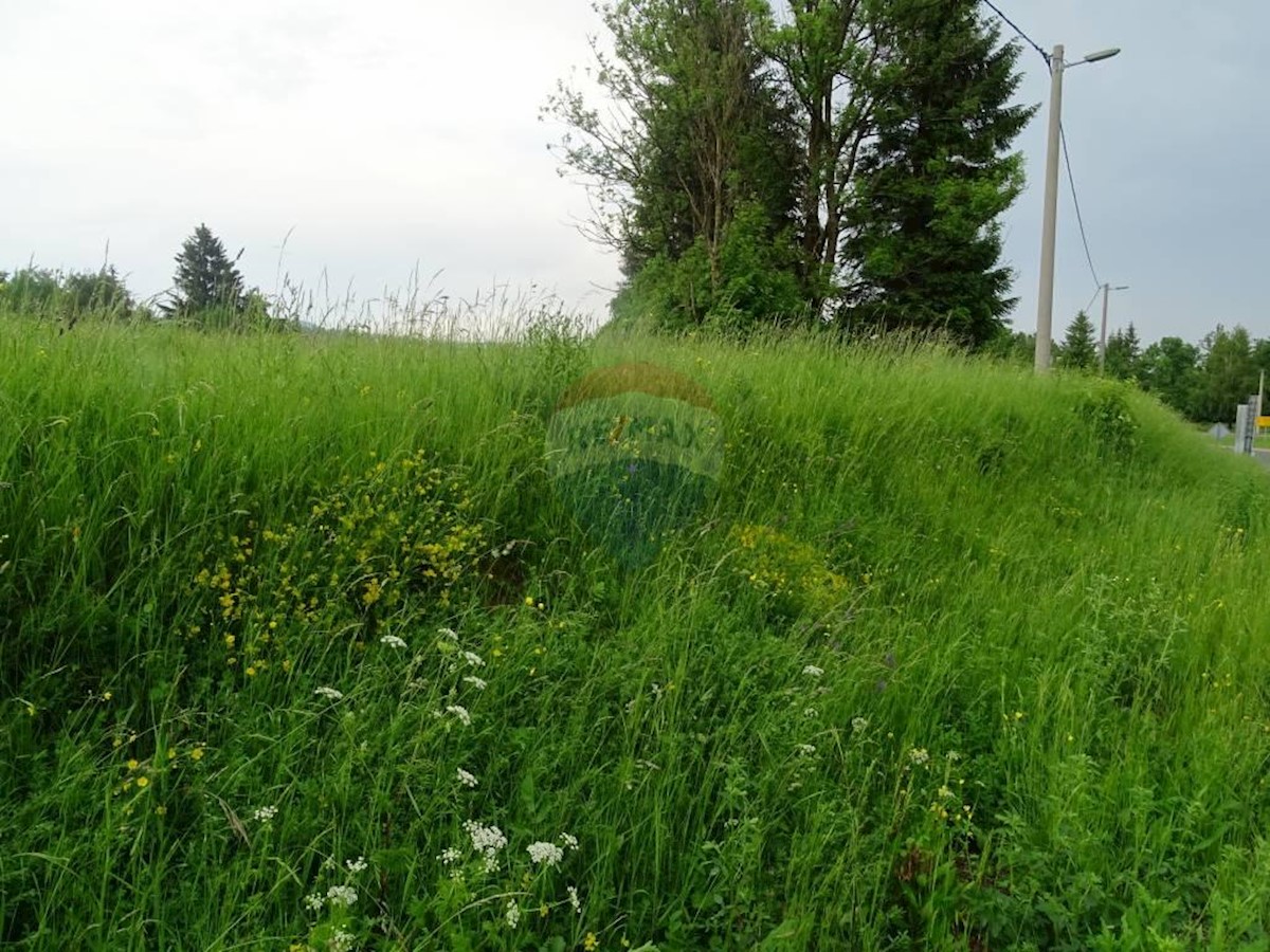 Terreno edificabile Kupjak, Ravna Gora, 14.540m2