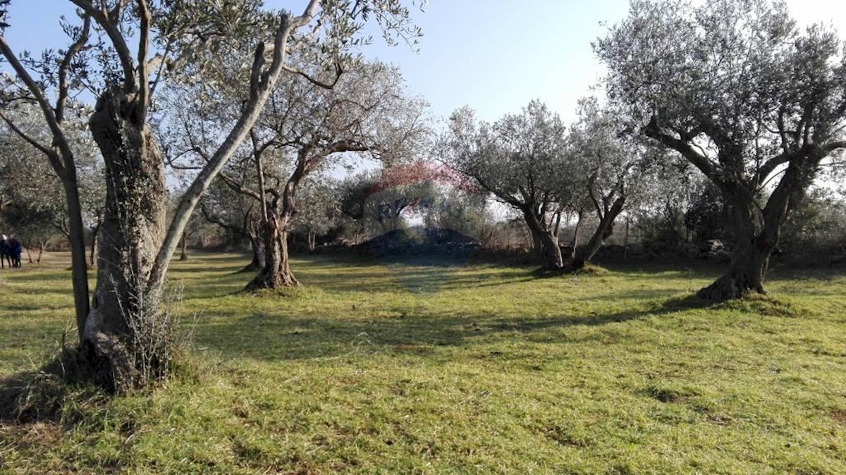 Terreno agricolo Peroj, Vodnjan, 3.039m2