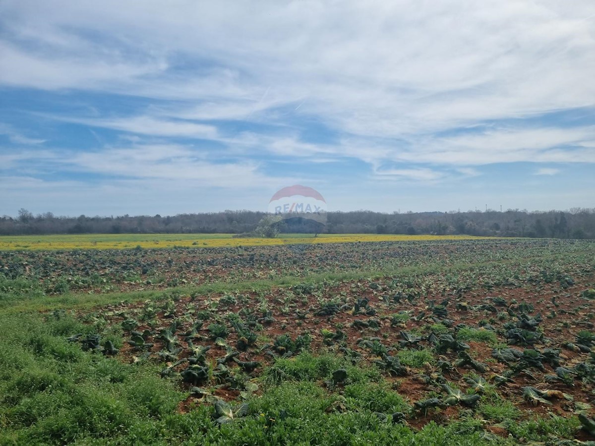 Terreno non edificabile Šišan, Ližnjan, 9.530m2