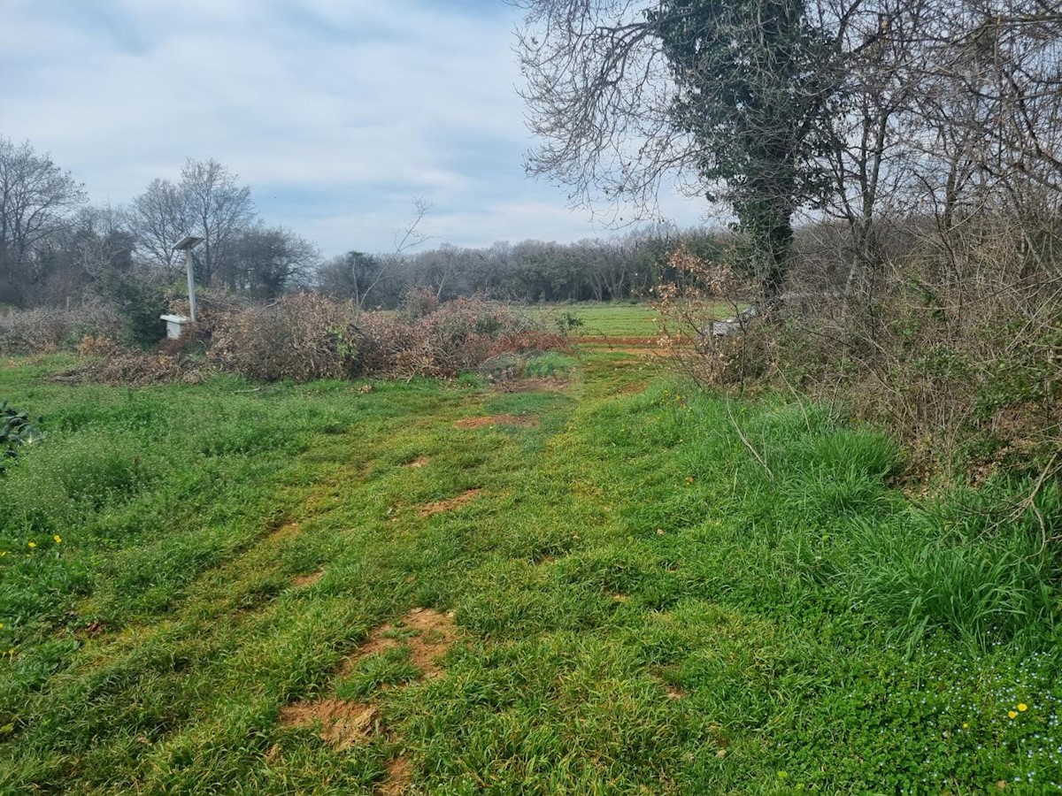 Terreno non edificabile Šišan, Ližnjan, 9.530m2