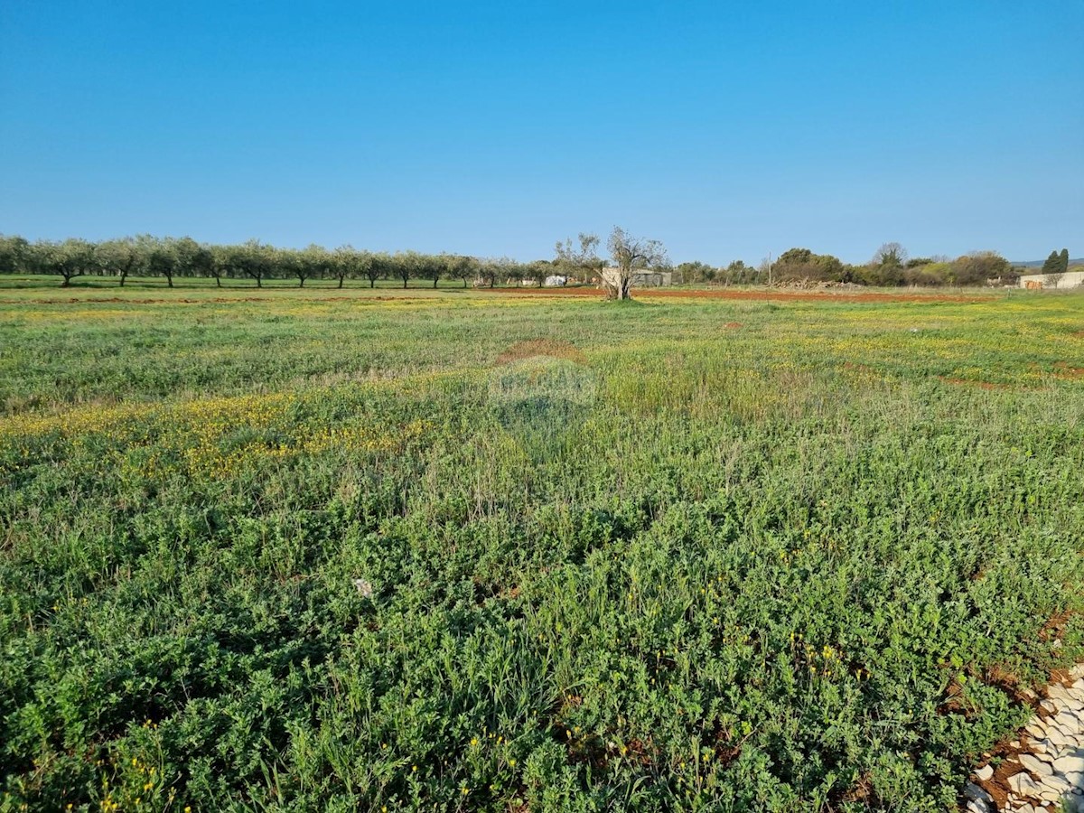 Terreno non edificabile Galižana, Vodnjan, 1.100m2