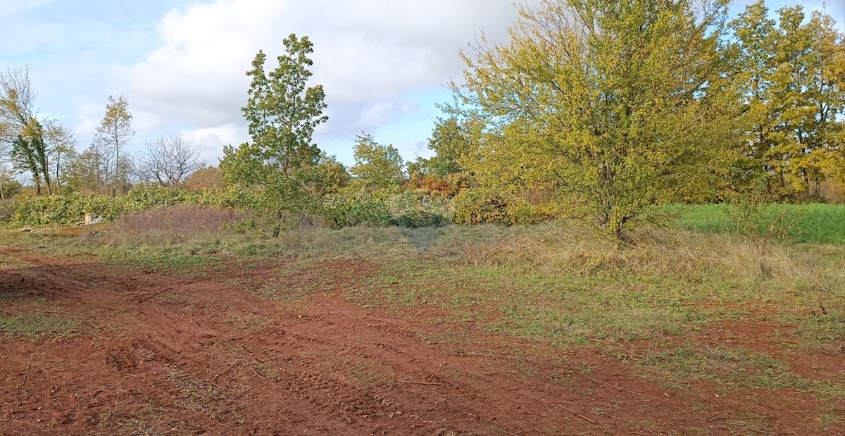 Terreno edificabile Laginji, Žminj, 2.371m2