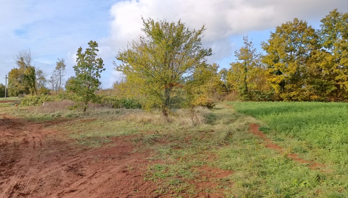 Terreno edificabile Laginji, Žminj, 2.371m2