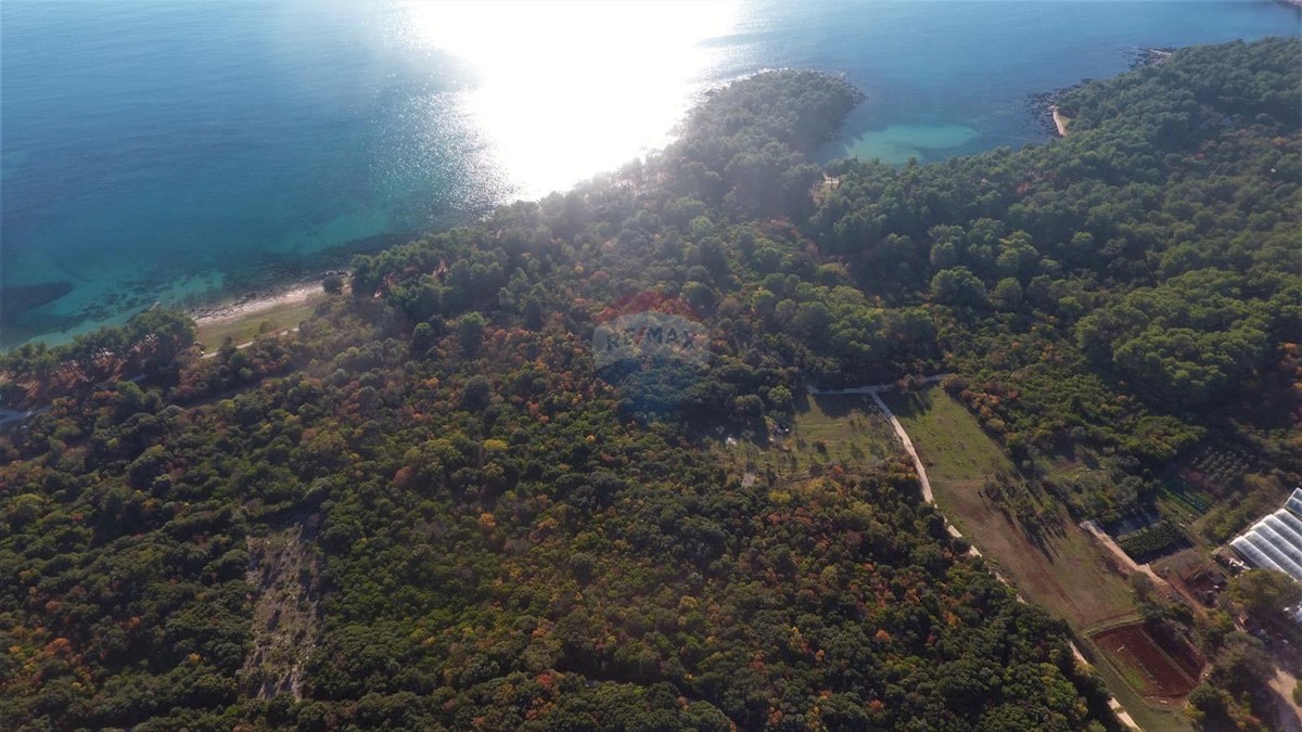 Terreno edificabile Rovinj, 11.811m2