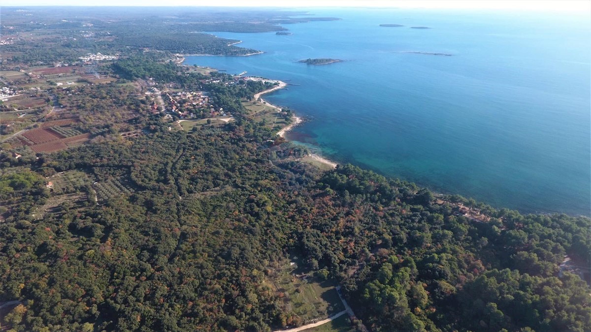 Terreno edificabile Rovinj, 11.811m2