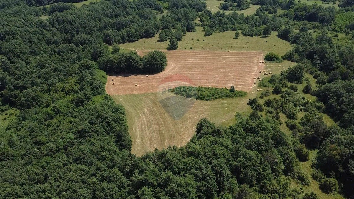 Terreno non edificabile Žminj, 59.542m2