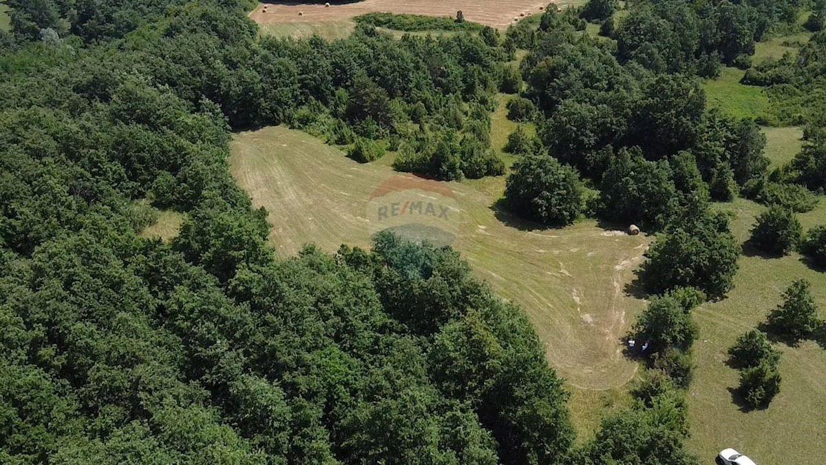 Terreno non edificabile Žminj, 59.542m2