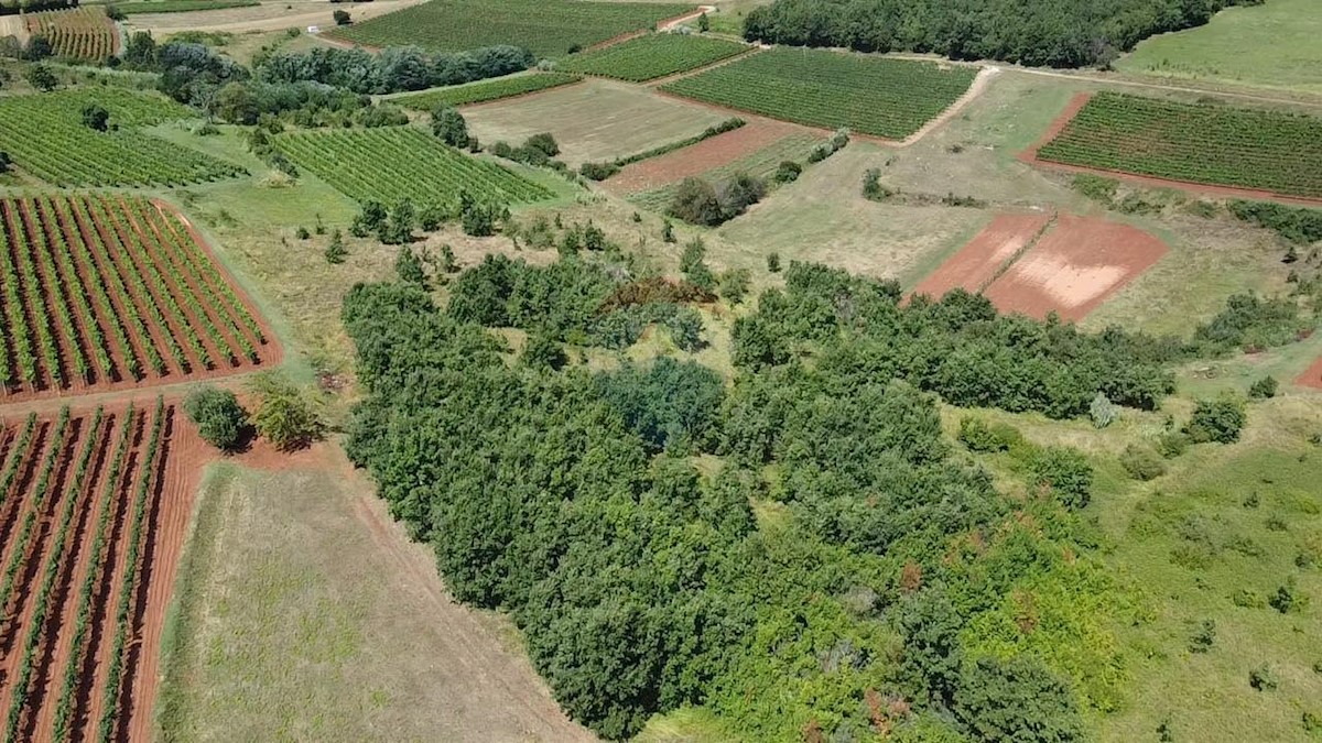 Terreno non edificabile Vižinada, 10.286m2