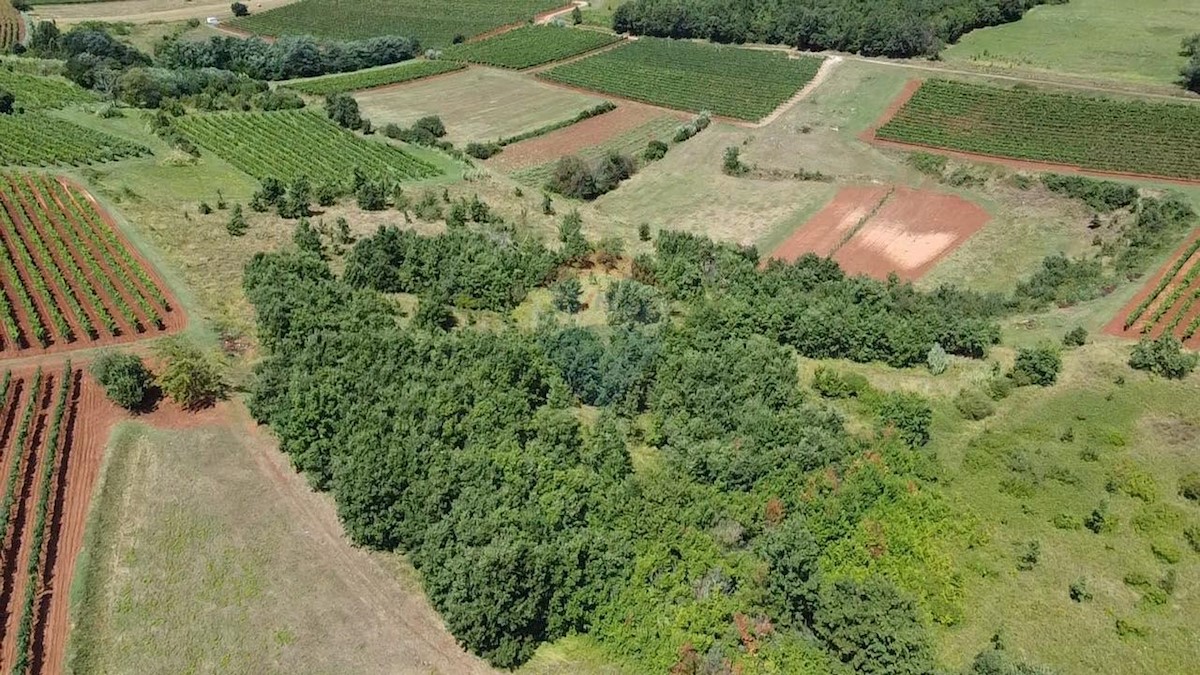 Terreno non edificabile Vižinada, 10.286m2