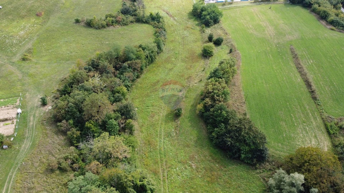 Terreno edificabile Vela Vala, Pazin, 10.984m2