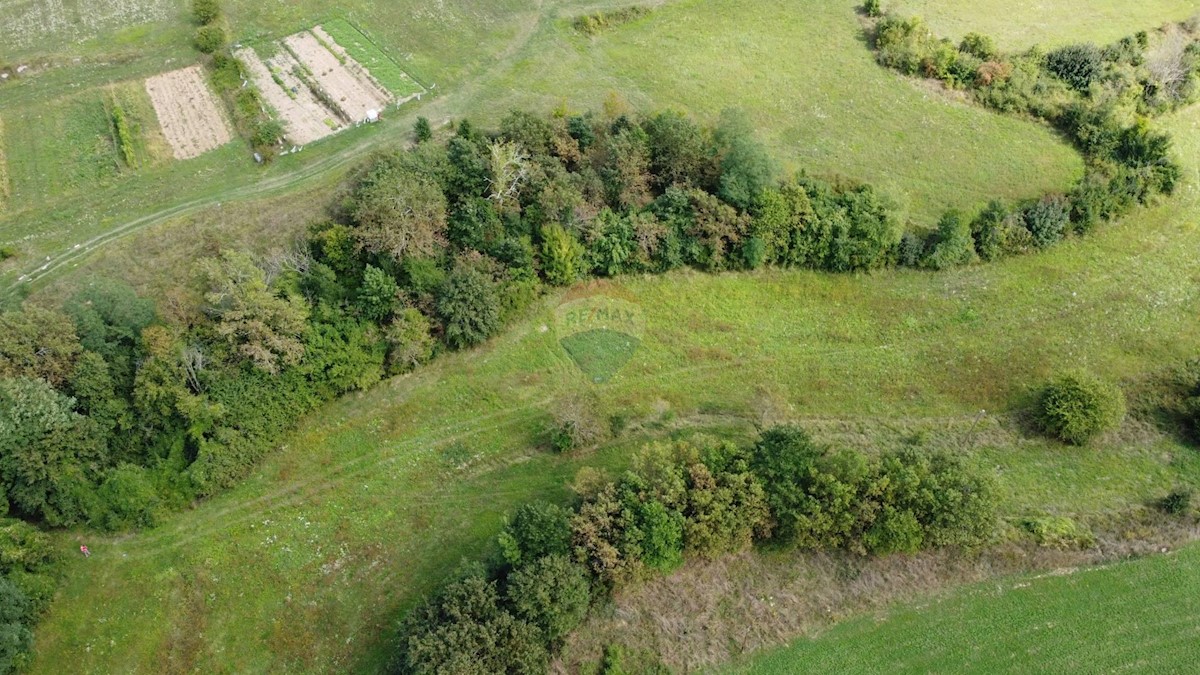 Terreno edificabile Vela Vala, Pazin, 10.984m2