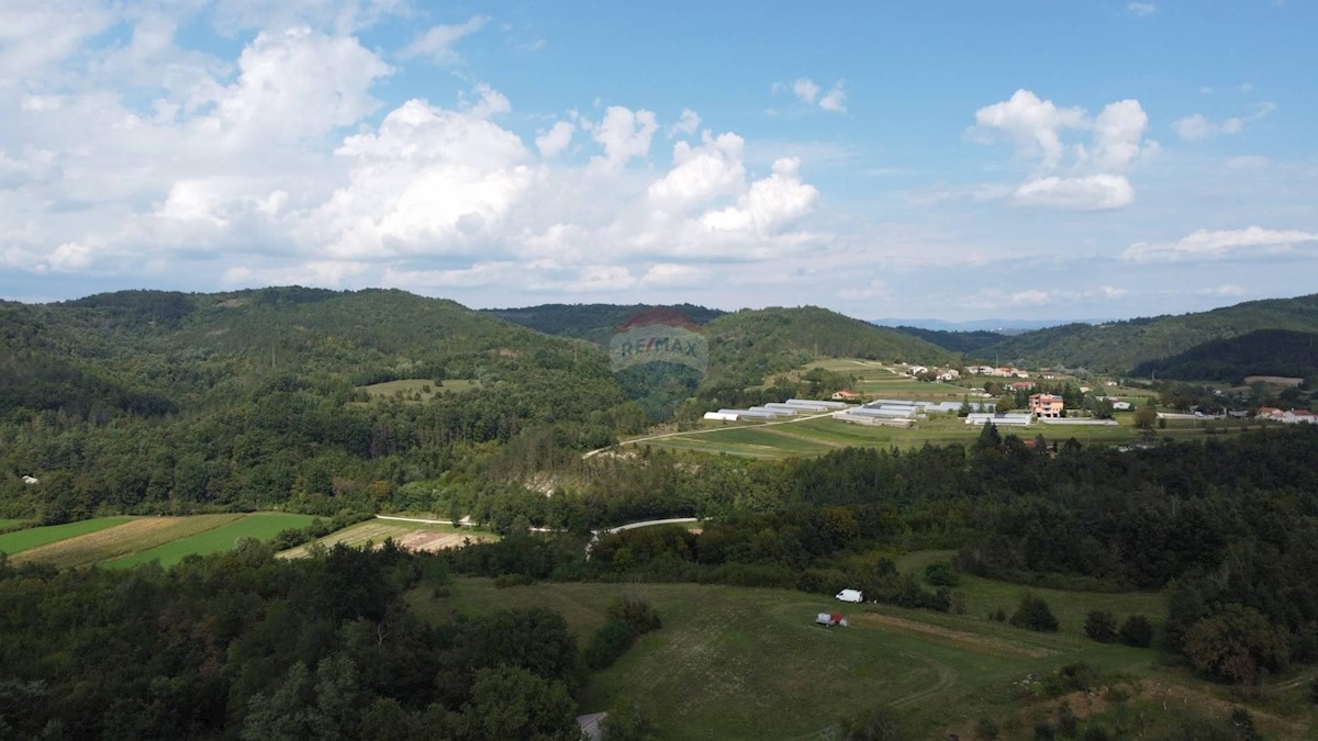 Terreno edificabile Vela Vala, Pazin, 10.984m2