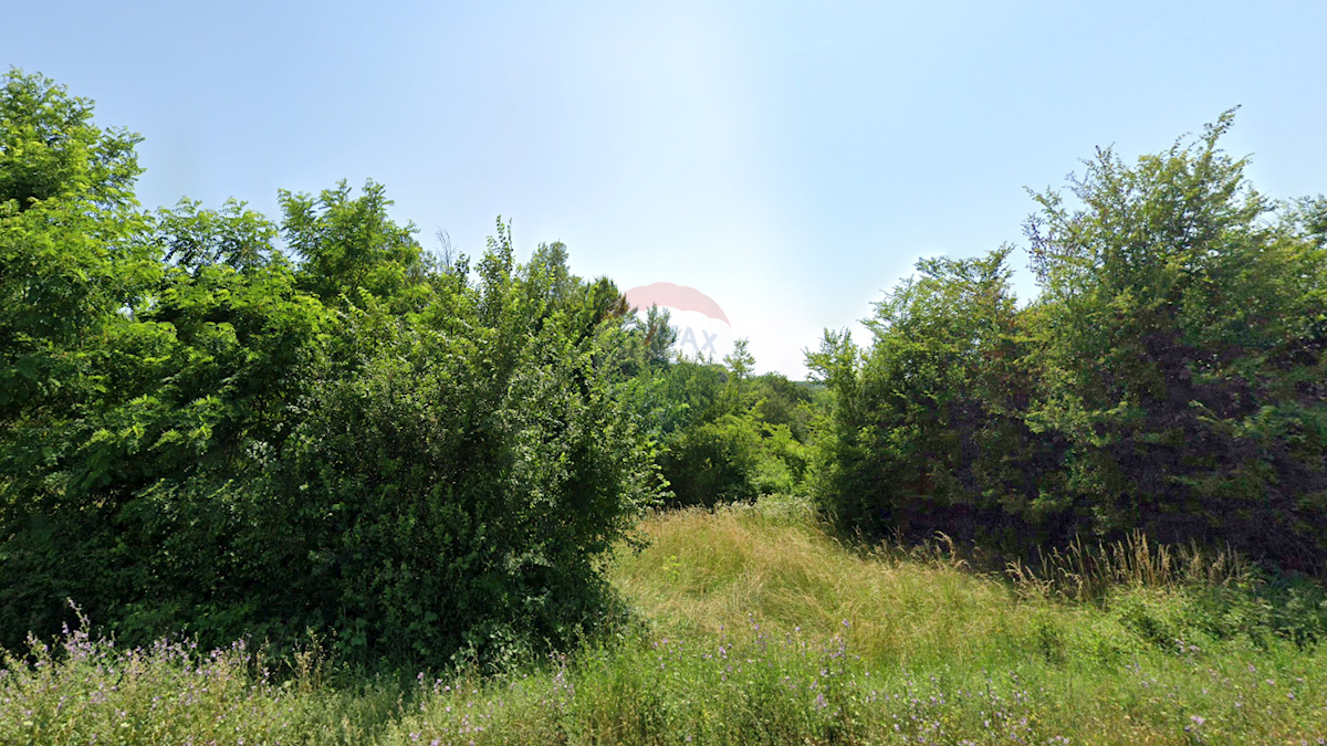 Terreno non edificabile Škropeti, Karojba, 73.837m2