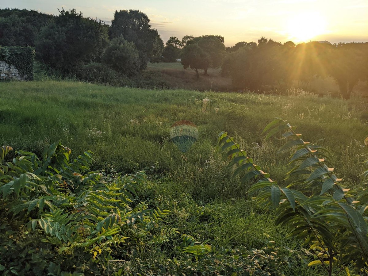 Terreno non edificabile Mrgani, Kanfanar, 69.404m2