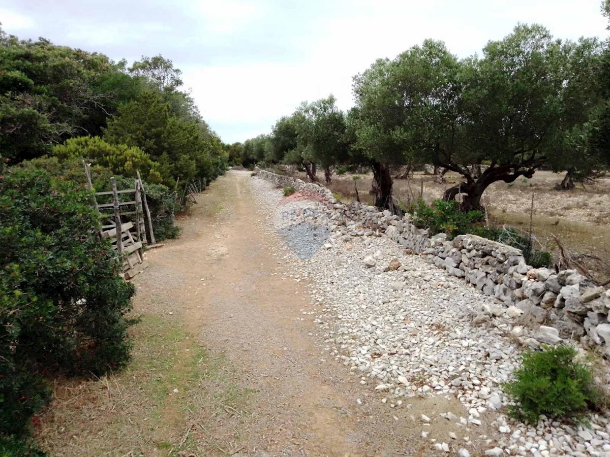 Terreno edificabile Mali Lošinj, 10.500m2