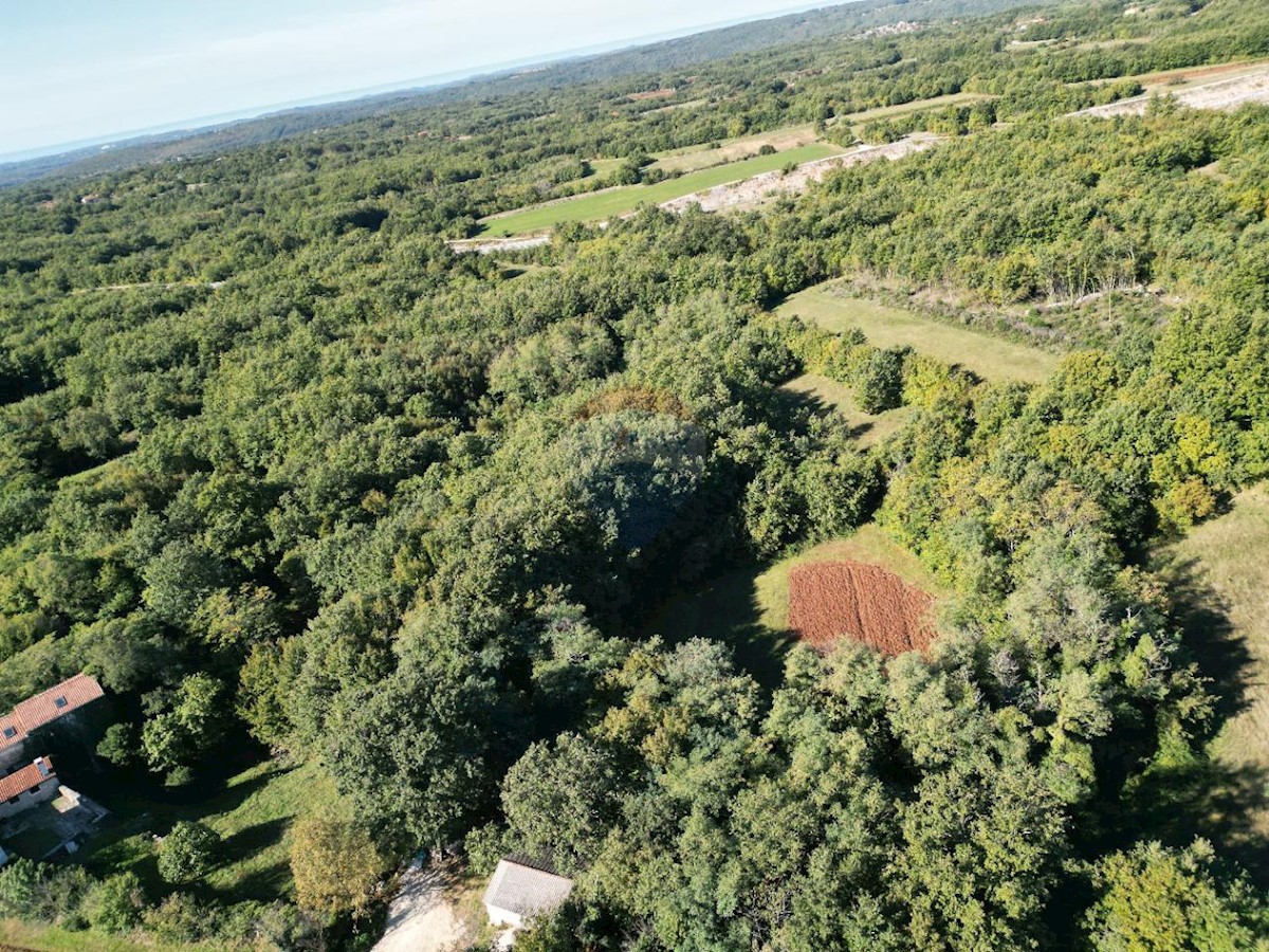 Terreno edificabile Orbanići, Žminj, 13.500m2