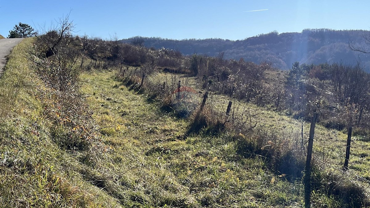 Terreno edificabile Zamask, Pazin - Okolica, 3.059m2