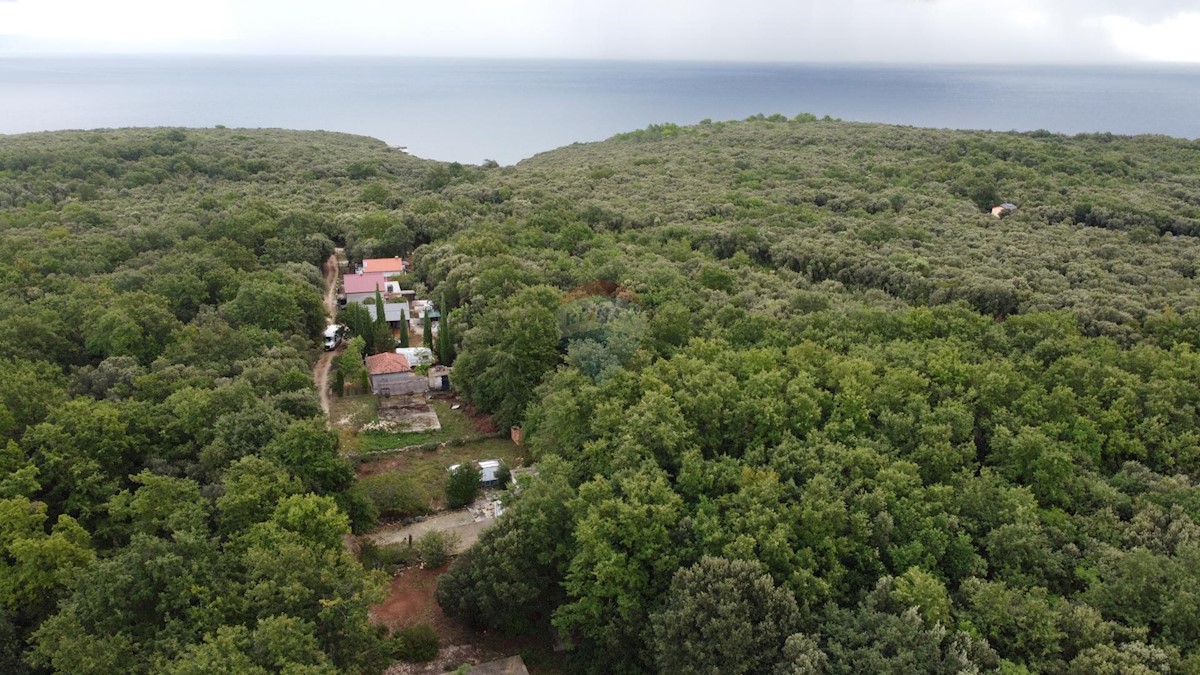 ISTRIA, DUGA UVALA - Cottage 350 m from the sea!