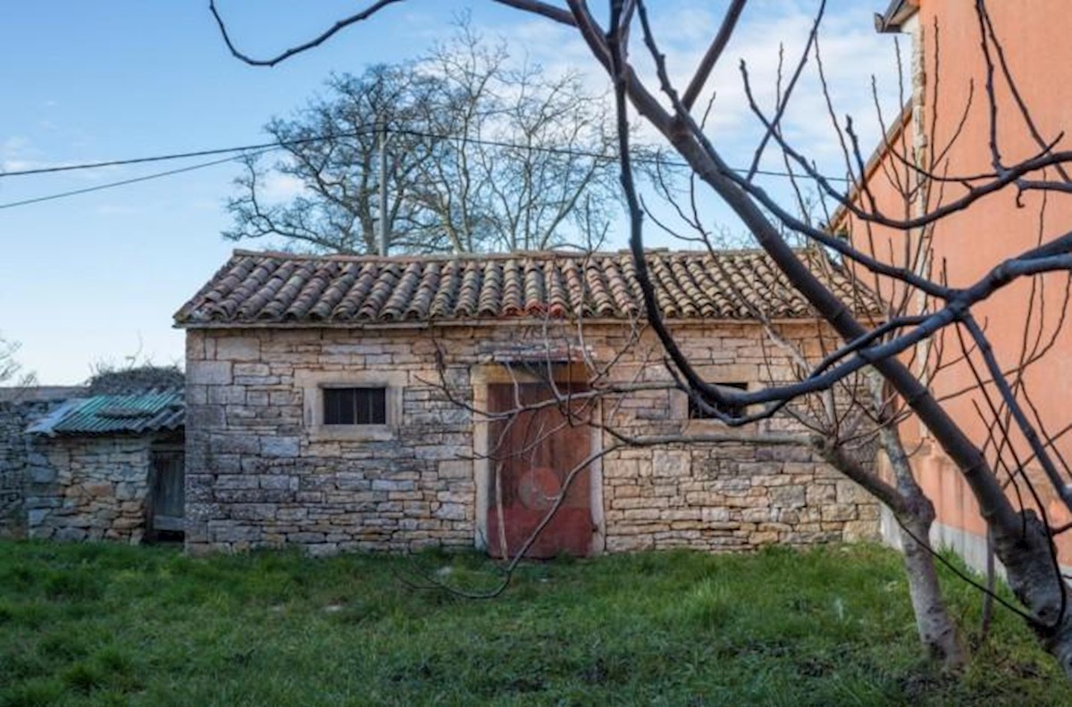 Casa Kršanci, Žminj, 313m2