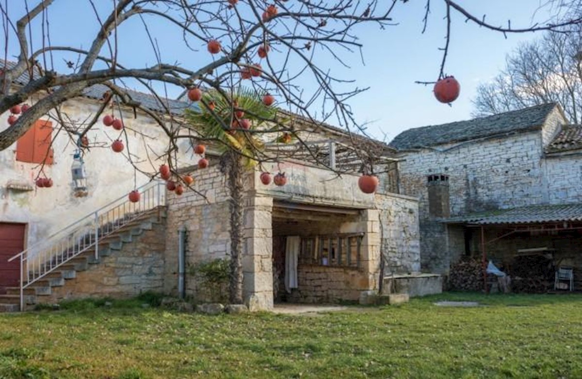 Casa Kršanci, Žminj, 313m2