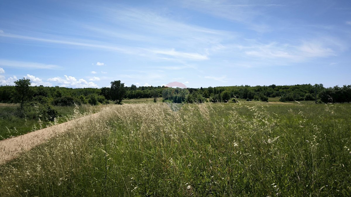 Terreno non edificabile Kaštelir, Kaštelir-Labinci, 32.600m2