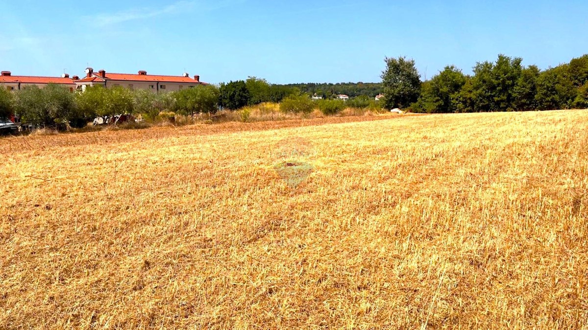 Terreno edificabile Lovrečica, Umag, 3.537m2