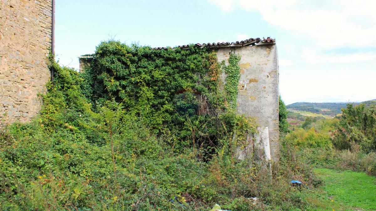 Terreno edificabile Momjan, Buje, 592m2