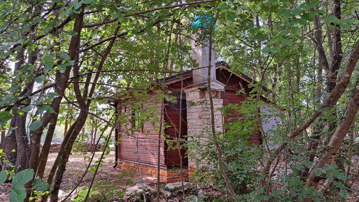 Terreno non edificabile Butkovići, Svetvinčenat, 7.588m2