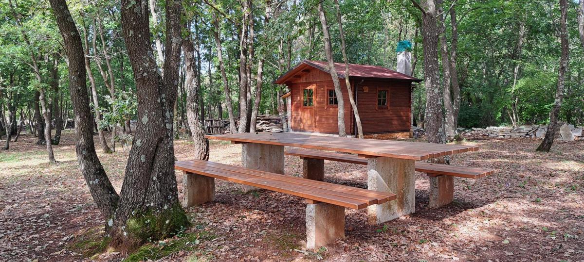 Terreno non edificabile Butkovići, Svetvinčenat, 7.588m2