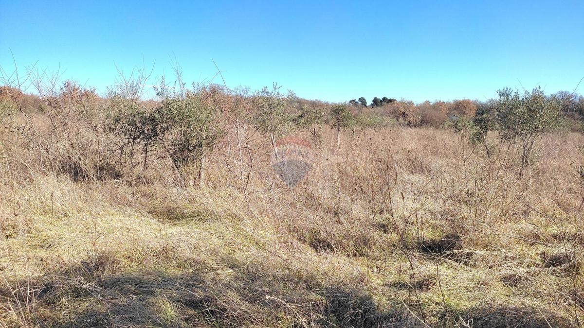 Terreno non edificabile Baderna, Poreč, 14,18m2