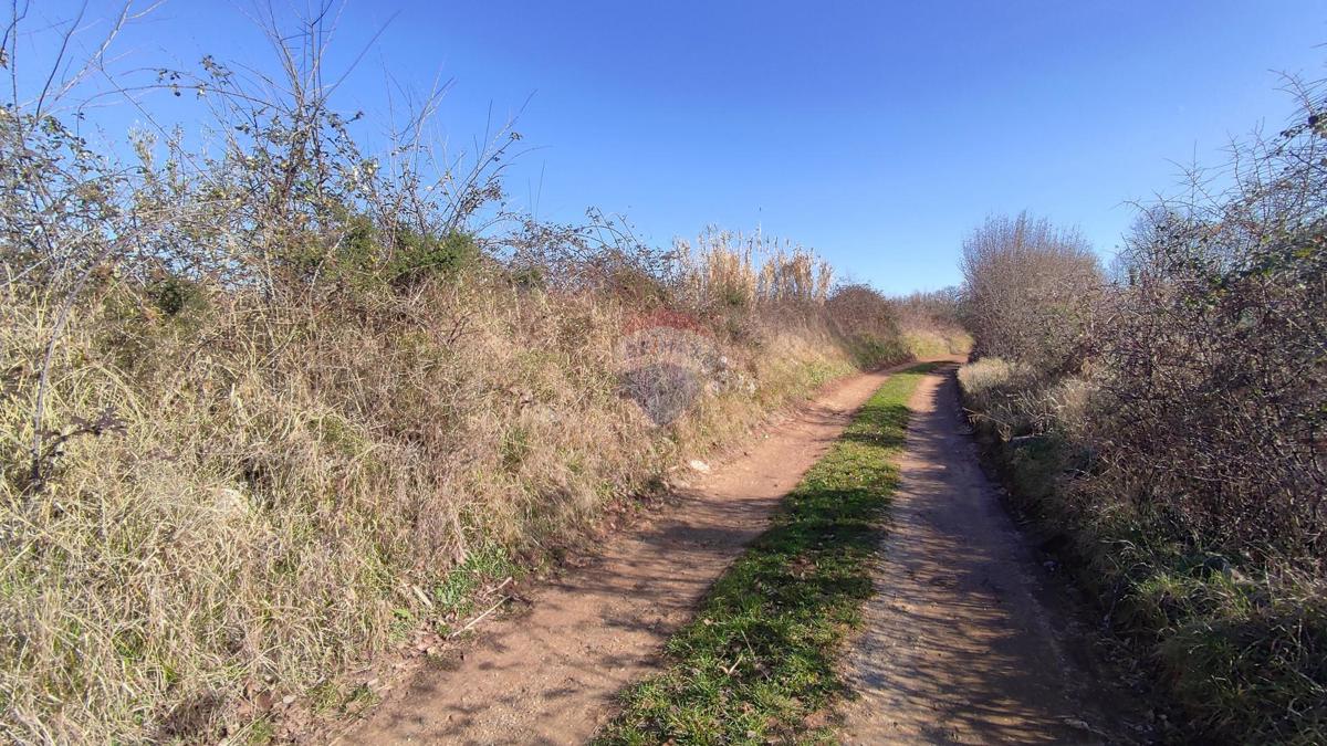 Terreno non edificabile Baderna, Poreč, 14,18m2