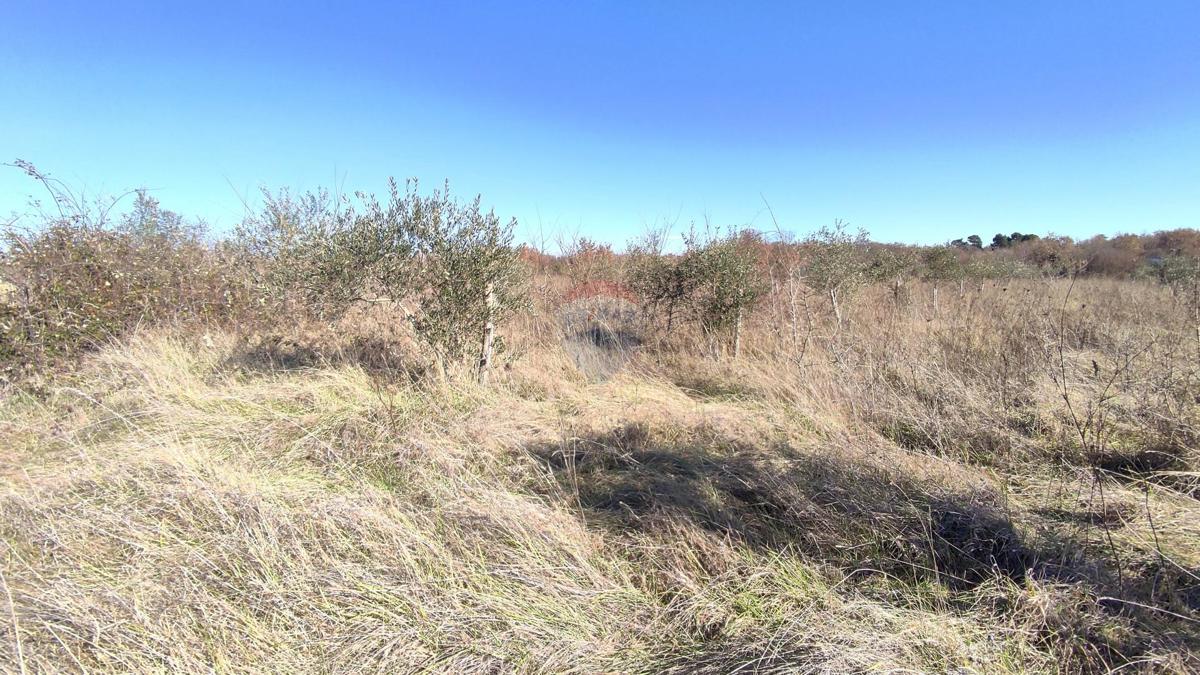 Terreno non edificabile Baderna, Poreč, 14,18m2