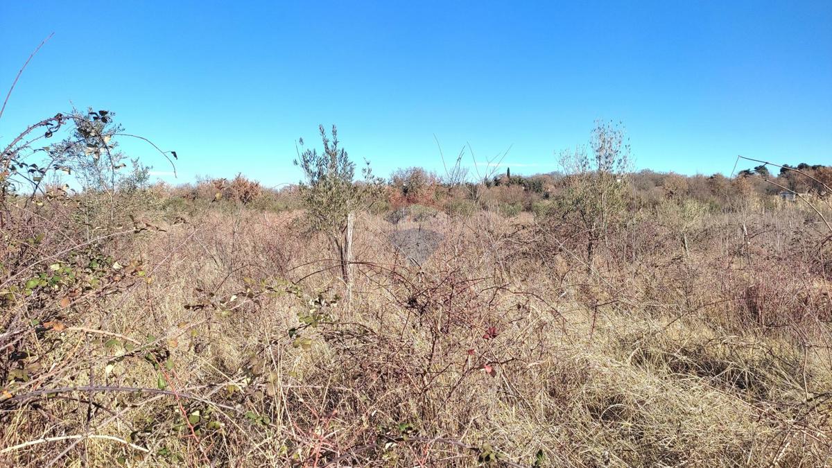 Terreno non edificabile Baderna, Poreč, 14,18m2