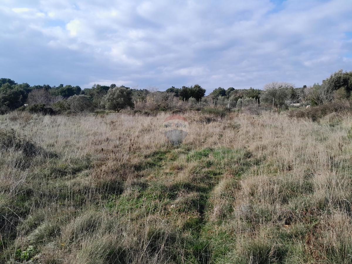 Terreno edificabile Premantura, Medulin, 2.378m2